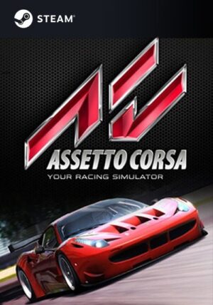 Hra na PC Assetto Corsa