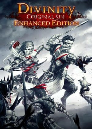 Elektronická licence PC hry Divinity: Original Sin (Enhanced Edition) Gog.com