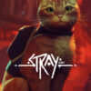 Stray