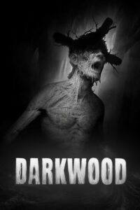Elektronická licence PC hry Darkwood STEAM